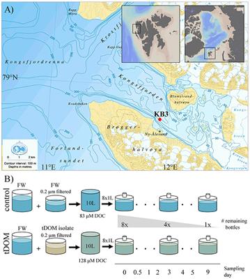 Bacterial Response to Permafrost Derived Organic Matter Input in an Arctic Fjord